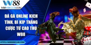 Đá gà online kịch tính, bí kíp thắng cược từ cao thủ W88